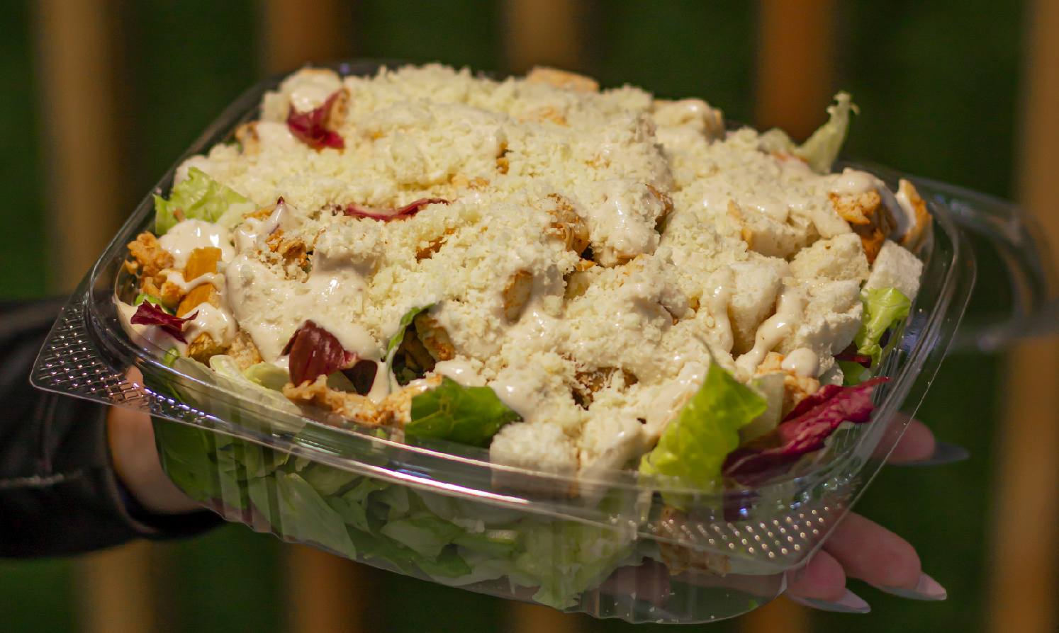 Roma Ensaladas